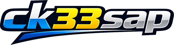 ck33 sap logo